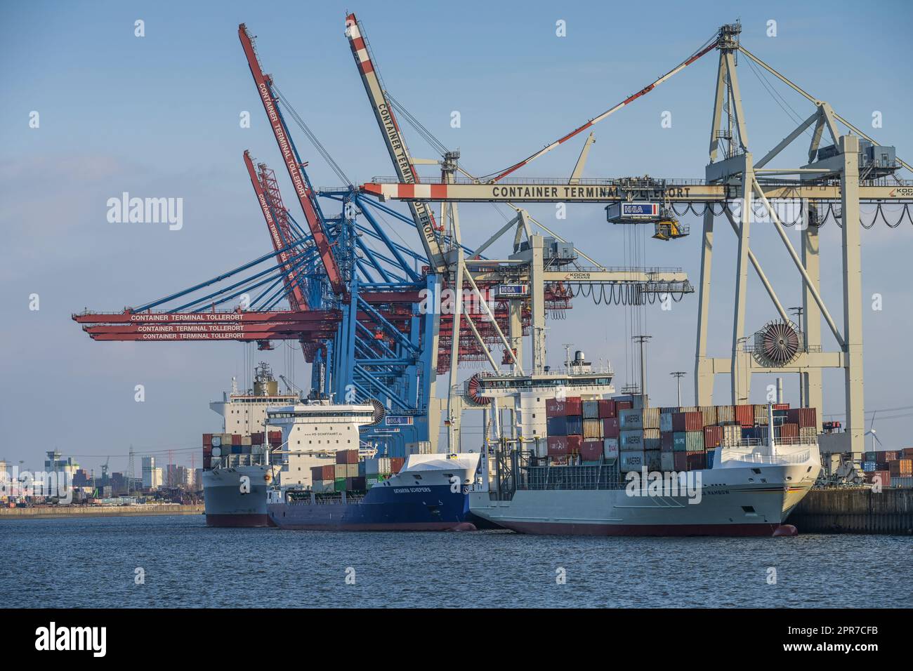 Containerterminal Tollerort, Kräne, Elbe, Hamburg Stockfoto