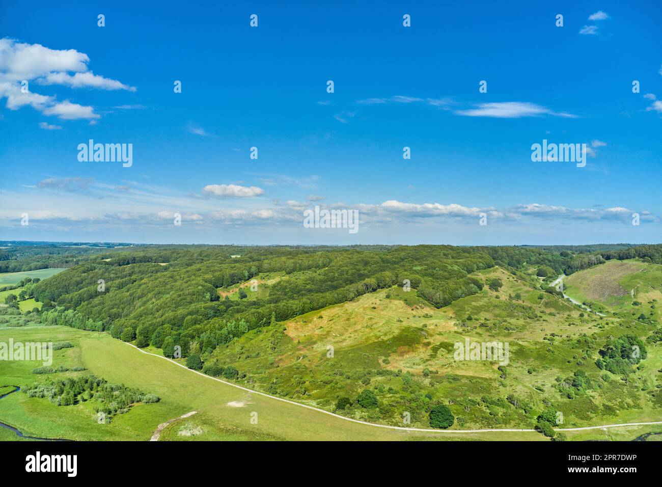 Eine landwirtschaftliche Landschaft mit grünen Weiden und Hügeln im Sommer. Luftaufnahme auf eine Farm mit üppigem Gras vor einem wolkigen blauen Himmel mit viel Platz. Friedliches Ackerland mit beruhigender, beruhigender malerischer Aussicht Stockfoto