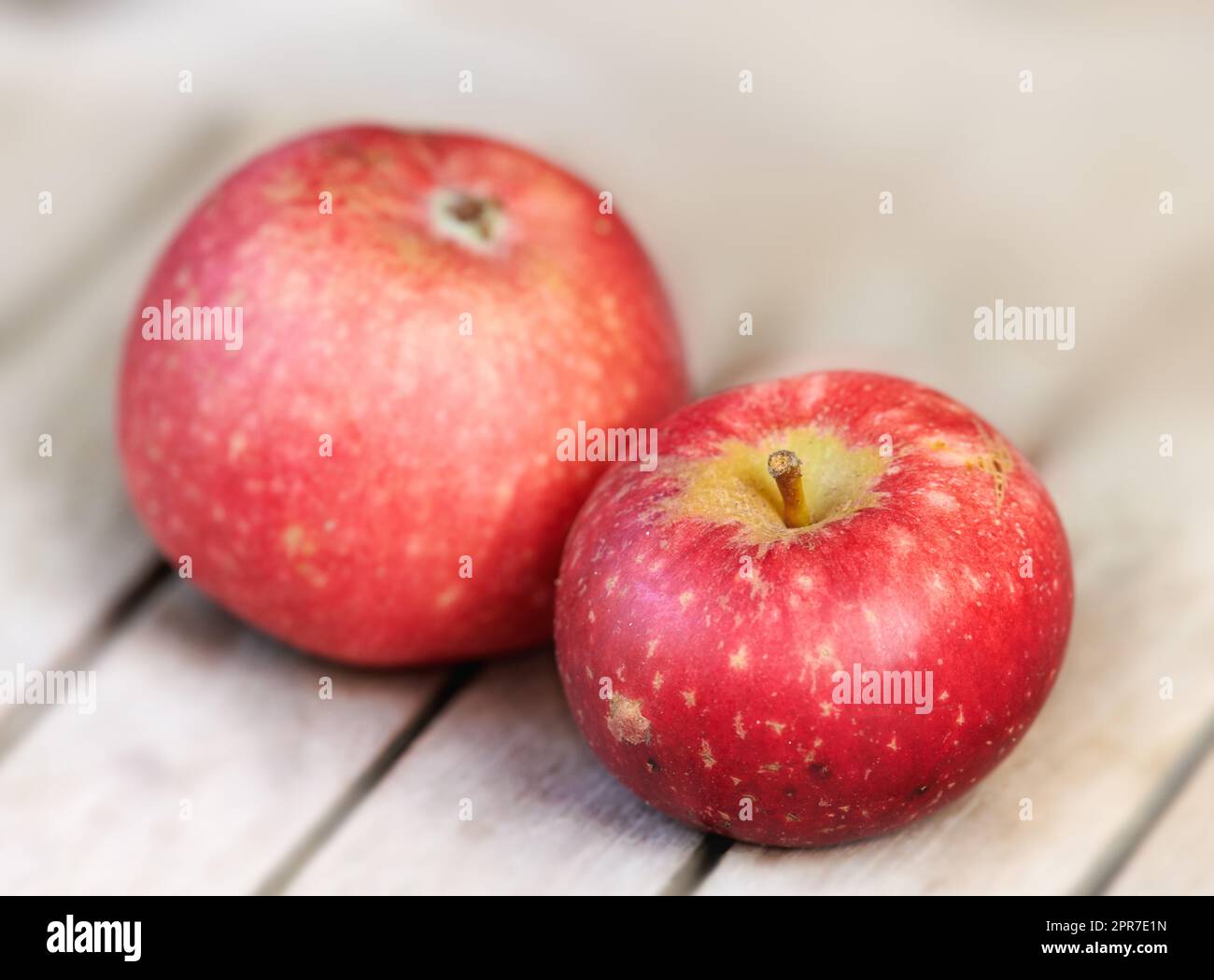 Zwei rote Äpfel auf einem Holztisch drinnen. Essen Sie gesund und achten Sie auf Ihre Ernährung. Obst enthält wichtige Vitamine, um Ihre Immunität zu stärken. Nahaufnahme eines köstlichen Snacks, den Veganer und Vegetarier genießen können Stockfoto