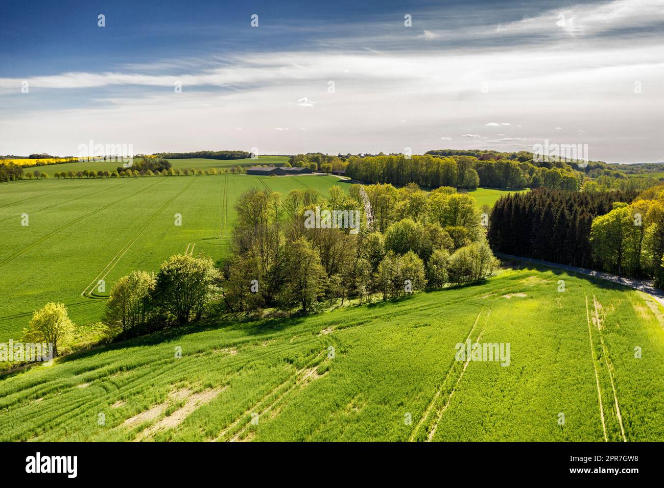 Üppig grüne Landschaft von Jütland, Dänemark mit viel Platz. Nachhaltiger, biologischer Bauernhof, ländliche Landschaft mit ruhigem Gras, Büschen und Bäumen. Friedliche Wälder mit beruhigender, beruhigender Panoramaaussicht Stockfoto