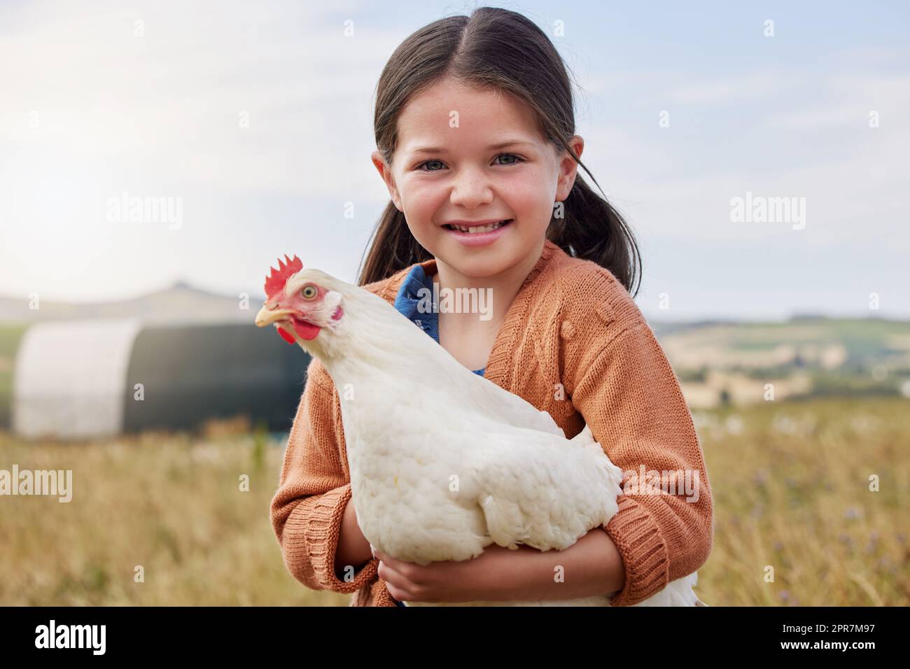 Ich helfe, die Tiere auf unserem Bauernhof zu kümmern. Ein entzückendes kleines Mädchen hält ein Huhn auf einem Bauernhof. Stockfoto