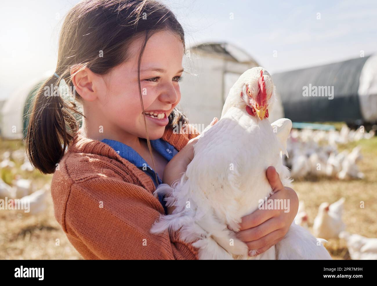 Die Landwirtschaft lehrt Kinder, wie man für Tiere zu kümmern. Ein entzückendes kleines Mädchen hält ein Huhn auf einem Bauernhof. Stockfoto