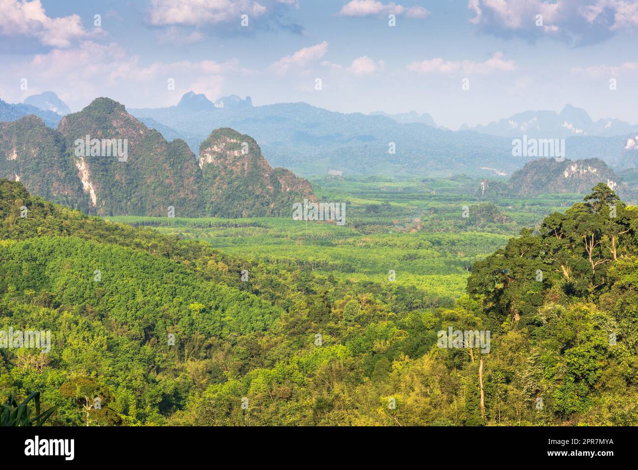 Der Nationalpark Khao Sok im Süden von Thailand Stockfoto