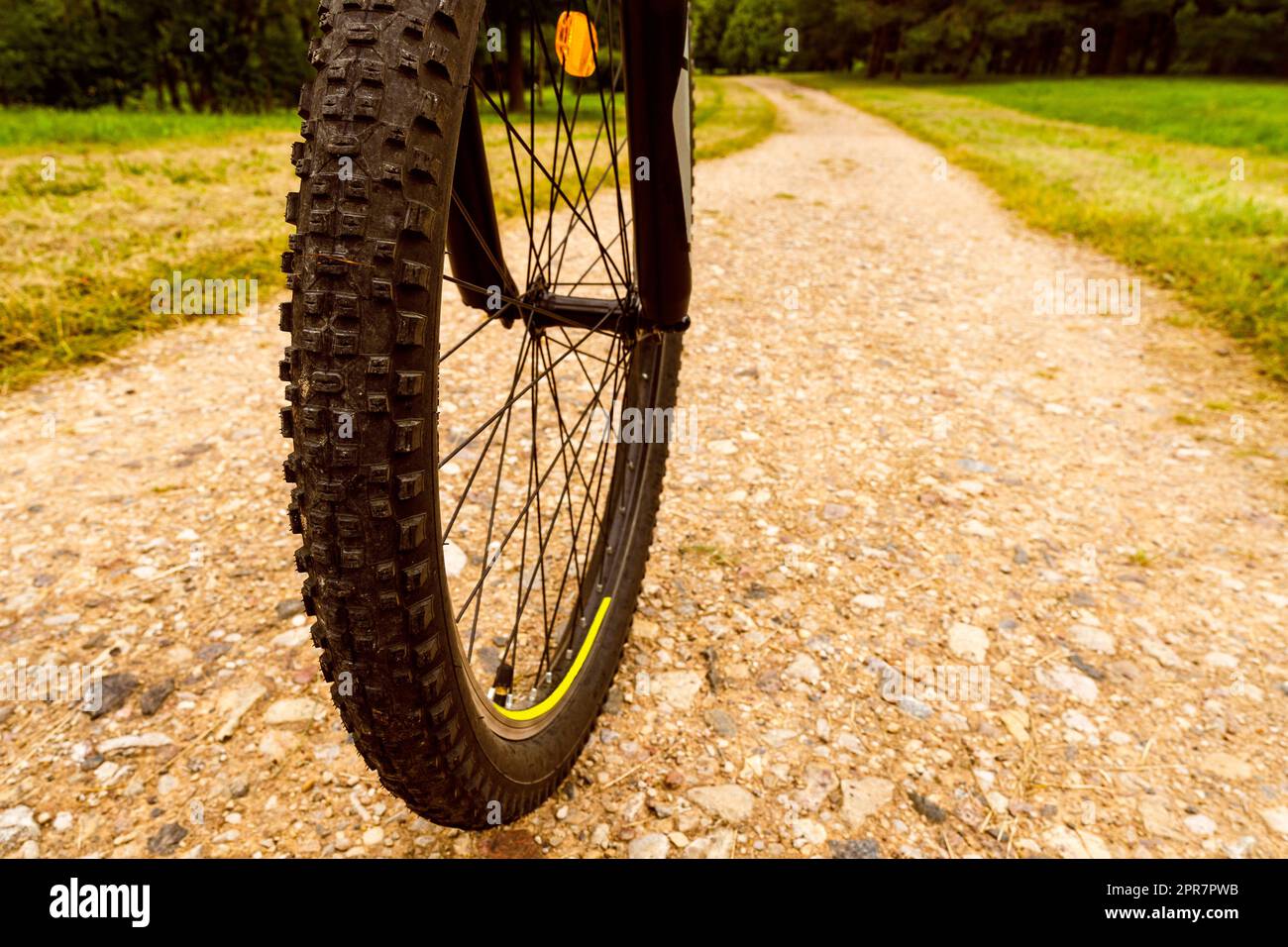 Detail eines Radrads auf einer schmutzigen Waldstrecke Stockfoto
