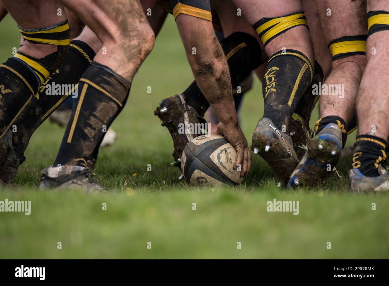 Englische Herren Amateurspieler der Rugby Union spielen in einem Ligaspiel. Stockfoto