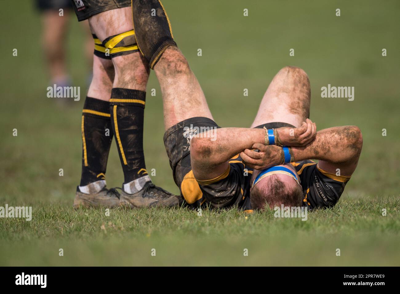Englische Männer Amateur-Rugby Union-Spieler, die in einem Ligaspiel spielen, erhalten Behandlung wegen Beinkrämpfen. Stockfoto
