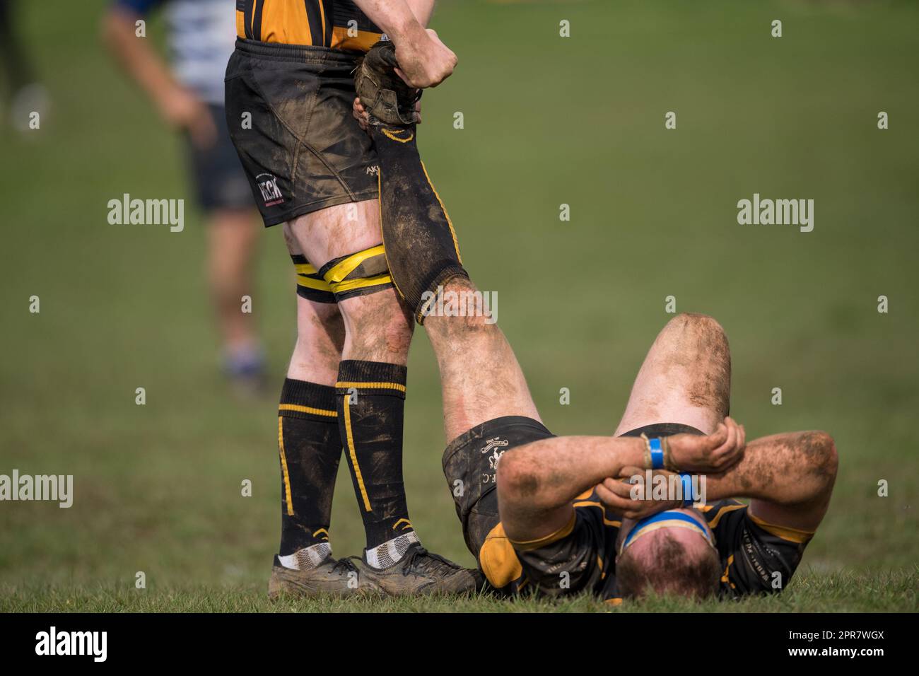 Englische Männer Amateur-Rugby Union-Spieler, die in einem Ligaspiel spielen, erhalten Behandlung wegen Beinkrämpfen. Stockfoto