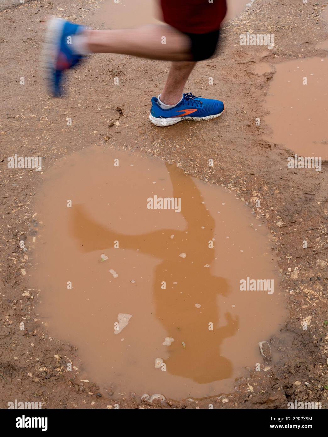 Beine eines 10km-Läufers, der über schlammige Pfützen rennt. Stockfoto