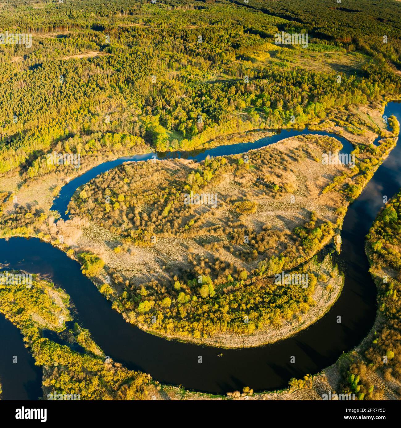 Blick Aus Der Vogelperspektive Auf Grüne Waldwälder Und Flusslandschaft Am Sonnigen Sommertag Im Frühling. Top-Blick Auf Die Wunderschöne Europäische Natur Von High Attitude In Der Herbstsaison. Drohnenansicht. Vogelperspektive Stockfoto