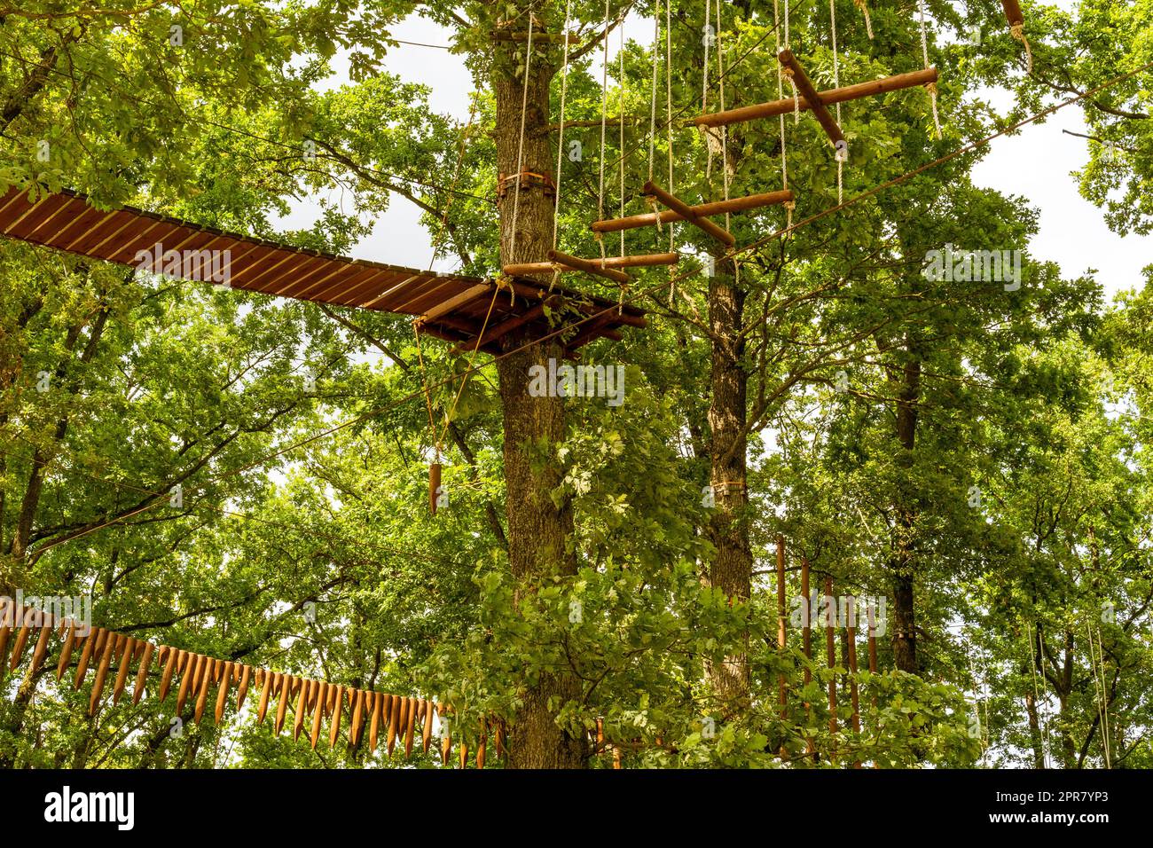 Seilpark zwischen den hohen Bäumen Stockfoto