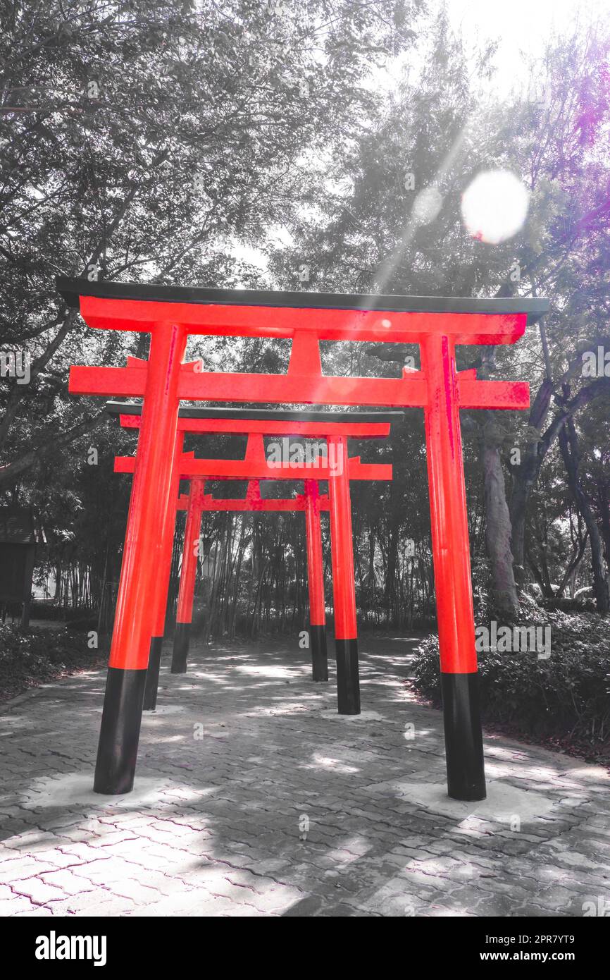 Hölzernes japanisches Tor (Tori-Tor) am grünen Wald japanische Kultur Religion. Stockfoto