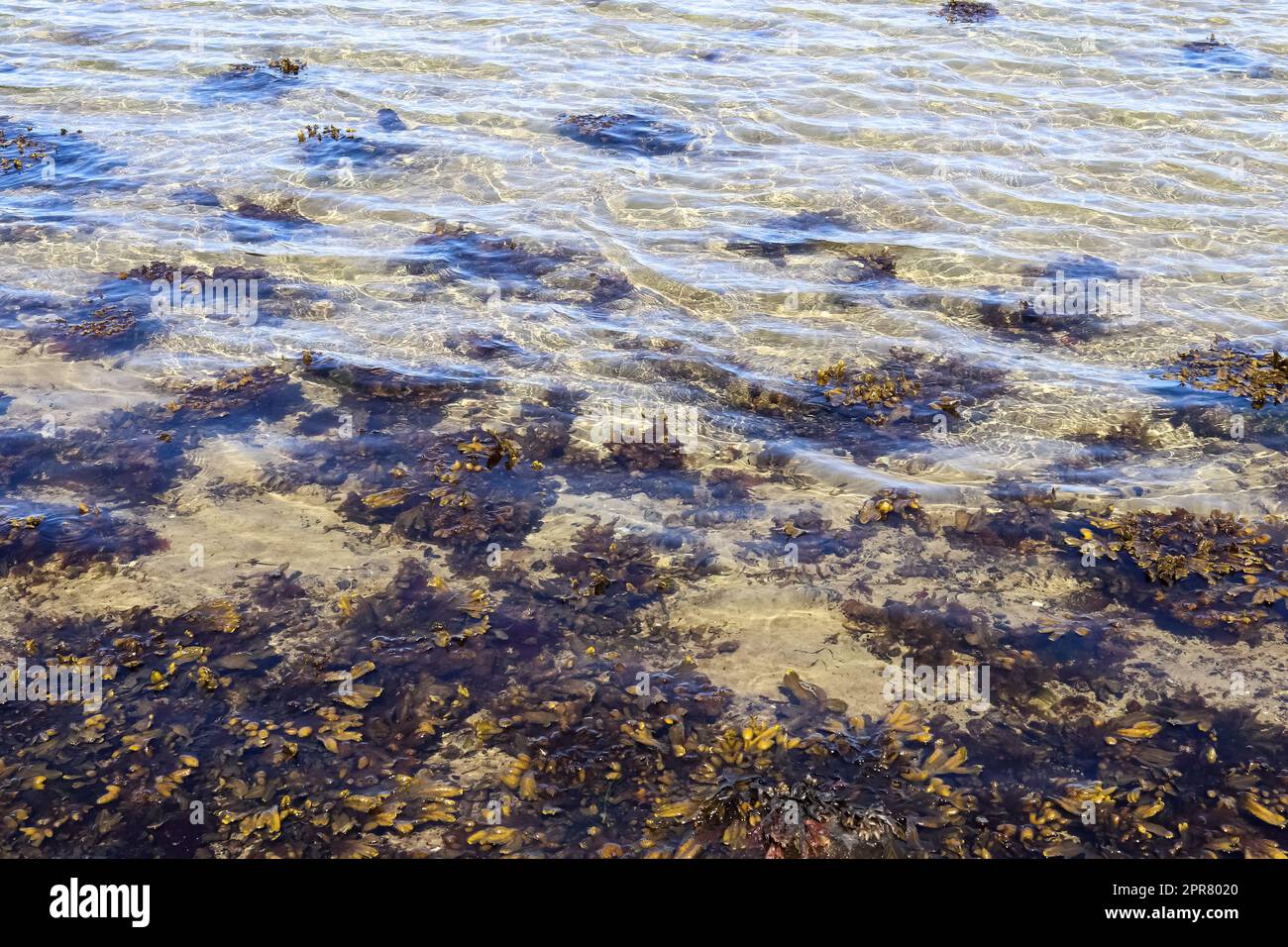 Detaillierte Nahaufnahme auf Wasserflächen mit Wellen und Sonnenlicht, das an der Oberfläche reflektiert wird Stockfoto