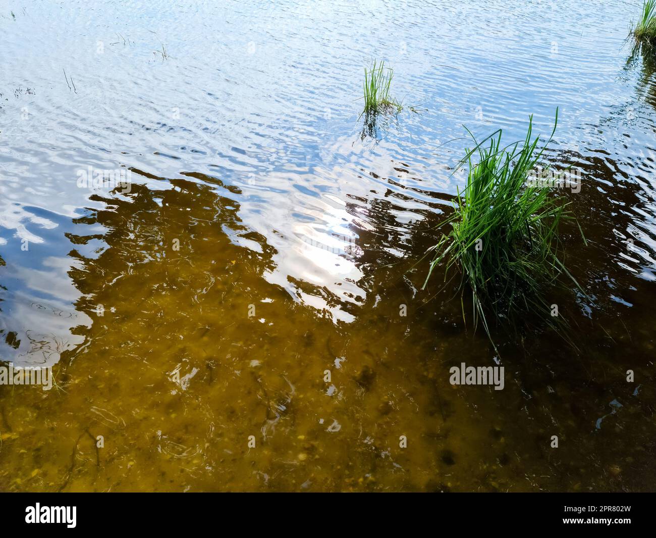 Detaillierte Nahaufnahme auf Wasserflächen mit Wellen und Sonnenlicht, das an der Oberfläche reflektiert wird Stockfoto