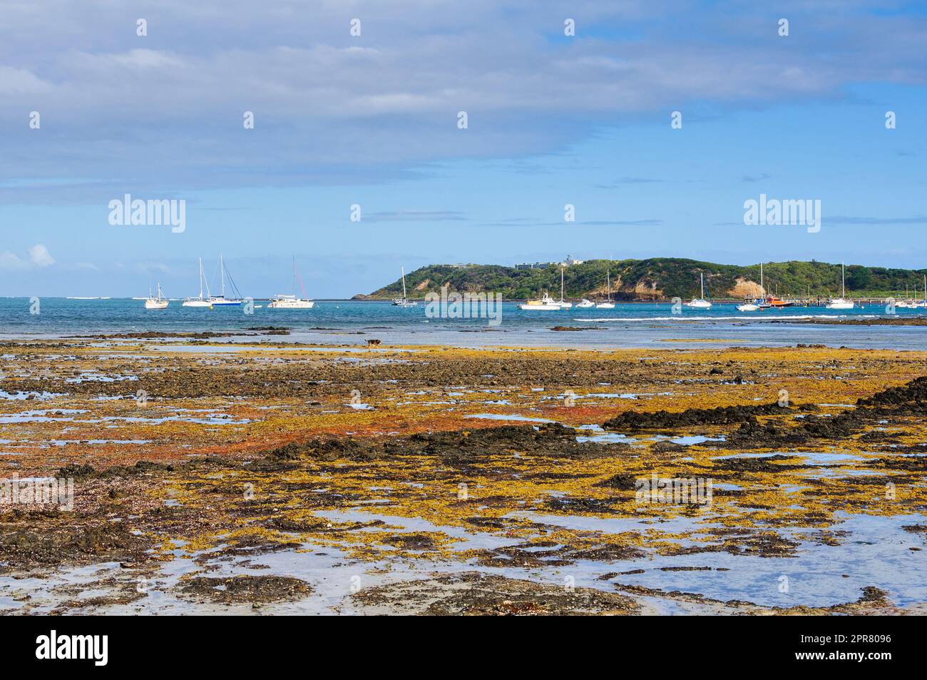 Dodds Creek Beach - Flinders Stockfoto