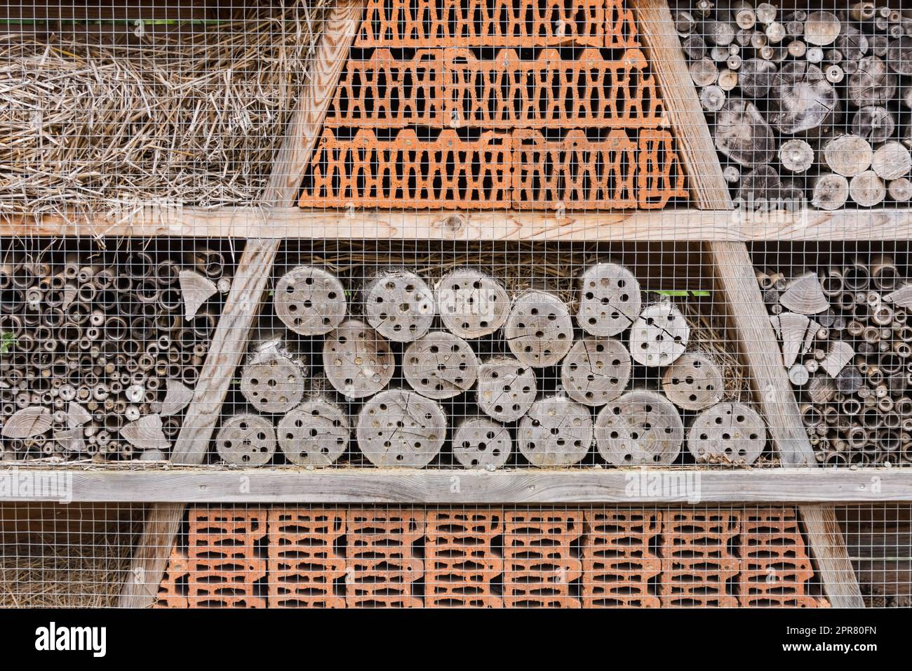 Großes Bienenhaus in der Natur Stockfoto