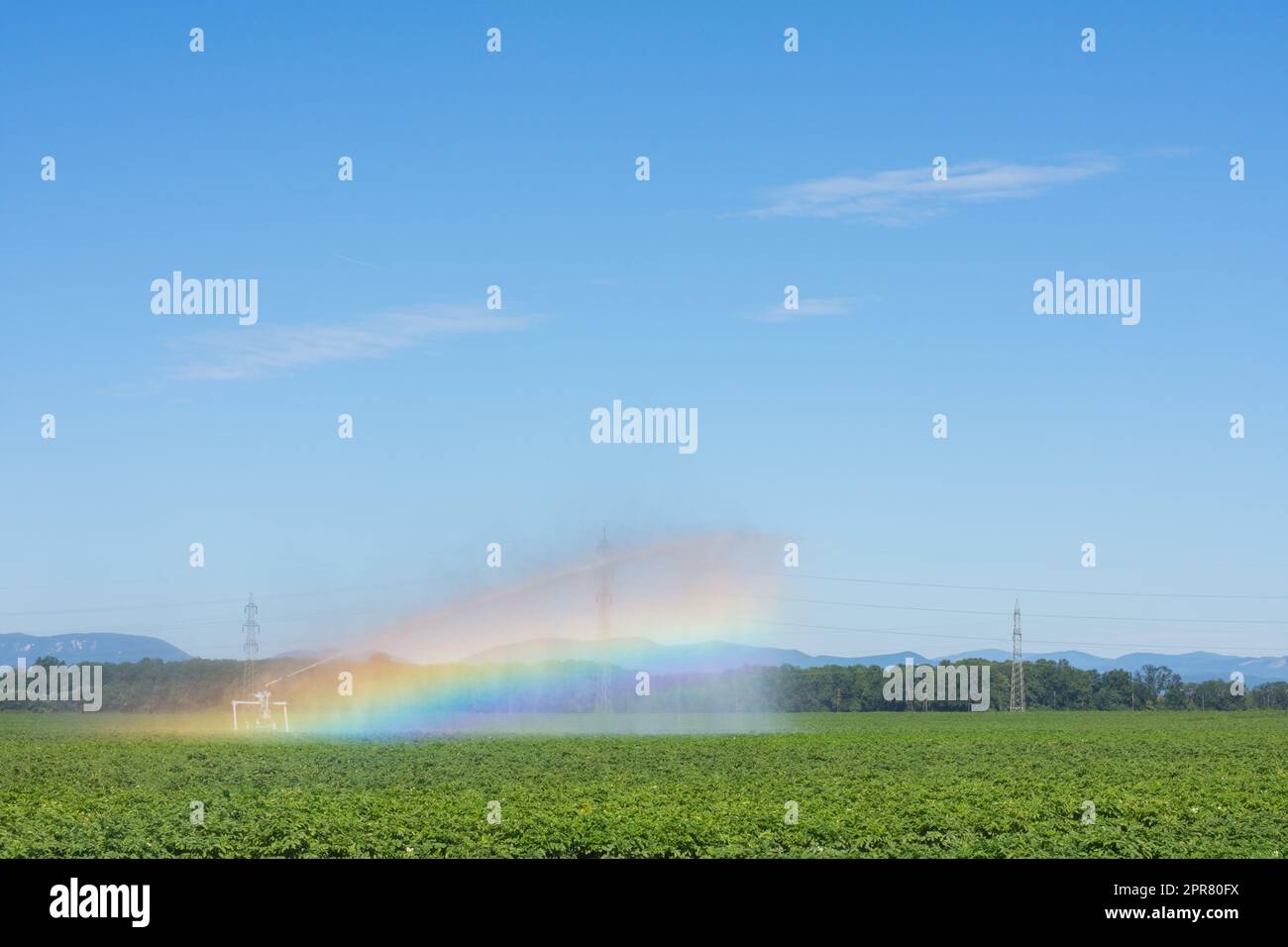 Bewässerungsmaschine auf einem grünen Feld auf einer flachen Landschaft mit einem Regenbogen Stockfoto