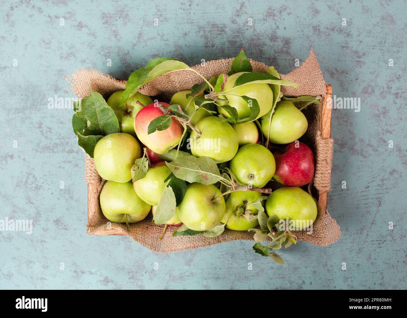 Korb mit frischen reifen Äpfeln auf dem Tisch, Obsternte im Sommer, gesunde Bio-Lebensmittel Stockfoto