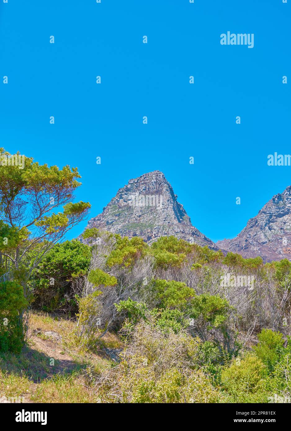 Malerischer Blick auf die Berglandschaft mit blauem Himmel und Kopierfläche von zwölf Aposteln in Kapstadt, Südafrika. Berühmte steile Wanderwege, Trekking-Gelände mit wachsenden Bäumen und Büschen. Reisen und Tourismus Stockfoto