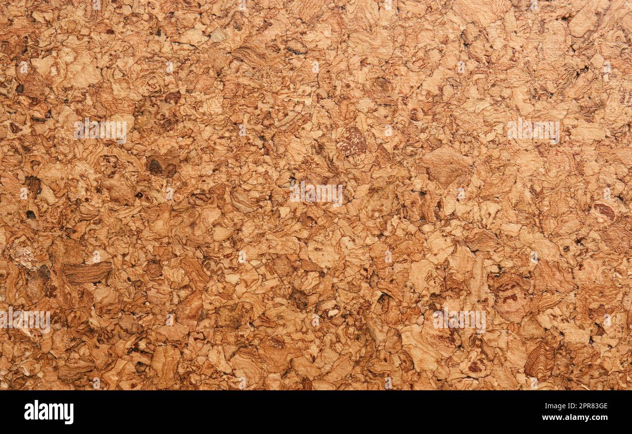 Struktur von Korkböden, Nahaufnahme, Korkböden, natürliches Leben, nachhaltige Materialien Stockfoto