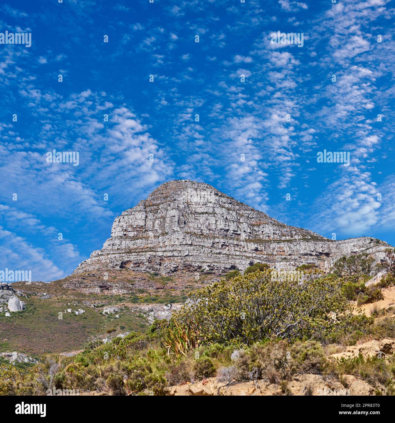Im Table Mountain National Park in Kapstadt, Südafrika, vor einem wolkigen blauen Himmelshintergrund könnt ihr euch auf die Kulisse von Lions Head freuen. Panoramablick auf ein Wahrzeichen und berühmtes Reiseziel Stockfoto