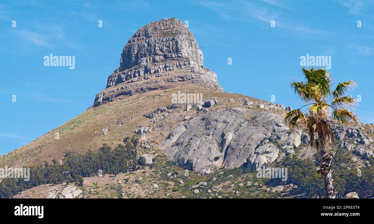 Landschaftsblick, blauer Himmel mit Kopierbereich von Lions Head in Kapstadt, Südafrika. Steile, raue, landschaftlich berühmte Wanderwege, Trekking-Gelände mit Bäumen, die um das Gelände wachsen. Auslandsreisen, Auslandstourismus Stockfoto