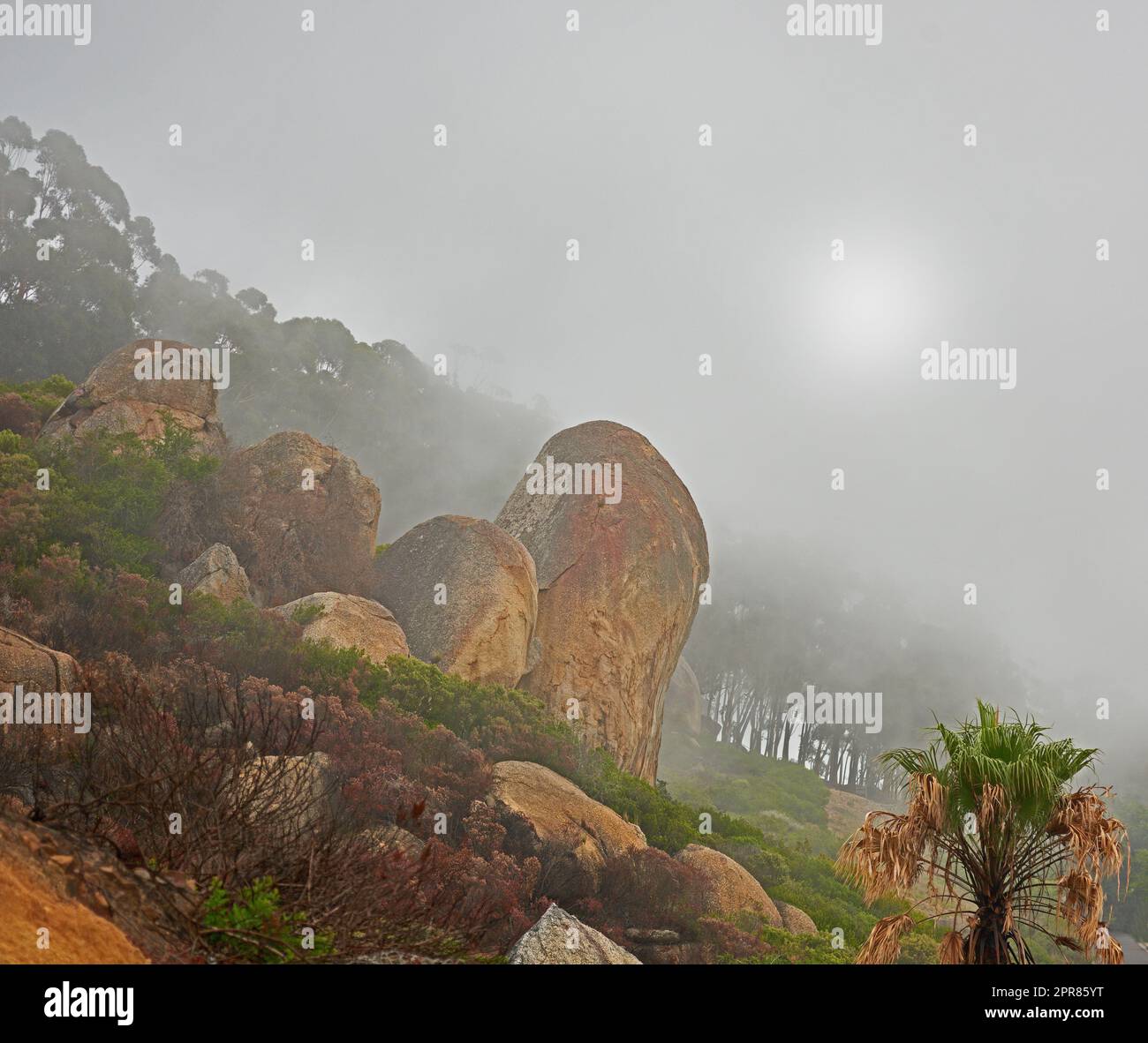 Ein nebeliger Morgen auf dem friedlichen Berggipfel, ruhige Zen-Natur mit malerischer Aussicht. Smog bedeckte felsige Landschaft des Lions Head Berges. Die Folgen eines verheerenden Waldbrands auf einem Berg. Stockfoto