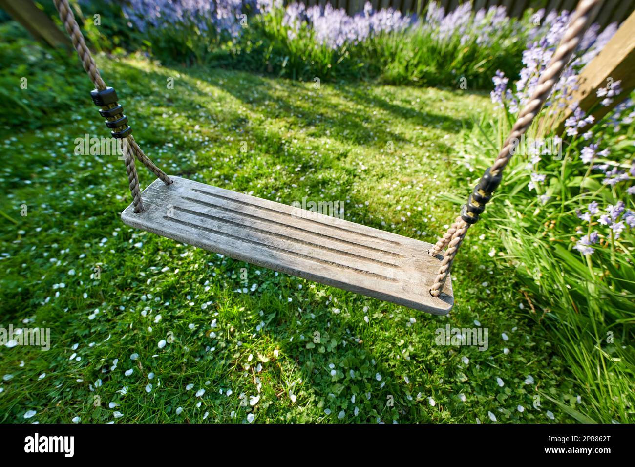 Nahaufnahme einer Schaukel an einem Seil in einem friedlichen Garten im Sommer. Grünes, üppiges Grasblatt wächst in einem Garten mit Lavendelblumen, die blühen und blühen. Alte rustikale Holzschaukel auf einer Wiese Stockfoto