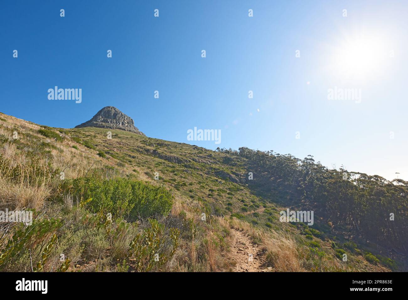 Landschaftsblick auf den Lions Head Mountain, blauer Himmel mit Kopierbereich auf dem Tafelberg, Kapstadt, Südafrika. Ruhige, ruhige, ländliche Landschaft und entspannende Naturlandschaft. Wildes Reiseziel Stockfoto