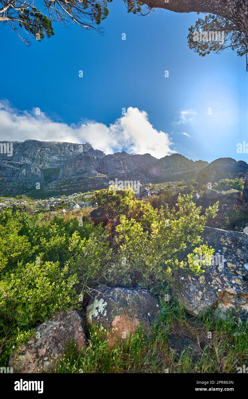 Kopieren Sie den Raum mit der Landschaft des Tafelbergs in Kapstadt vor einem wolkigen blauen Himmelshintergrund von unten. Wunderschöne malerische Ausblicke auf Pflanzen und Bäume an einem sonnigen Tag rund um ein berühmtes Naturdenkmal Stockfoto