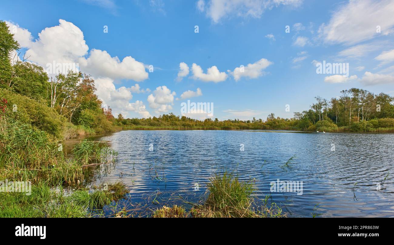 Copyspace und malerische Landschaft eines ruhigen Sees umgeben von Bäumen und Peelings und einem wolkigen blauen Himmel über Dänemark. Ein Wald mit einem Fluss und üppigen grünen Pflanzen an einem abgelegenen Ort in der Natur Stockfoto