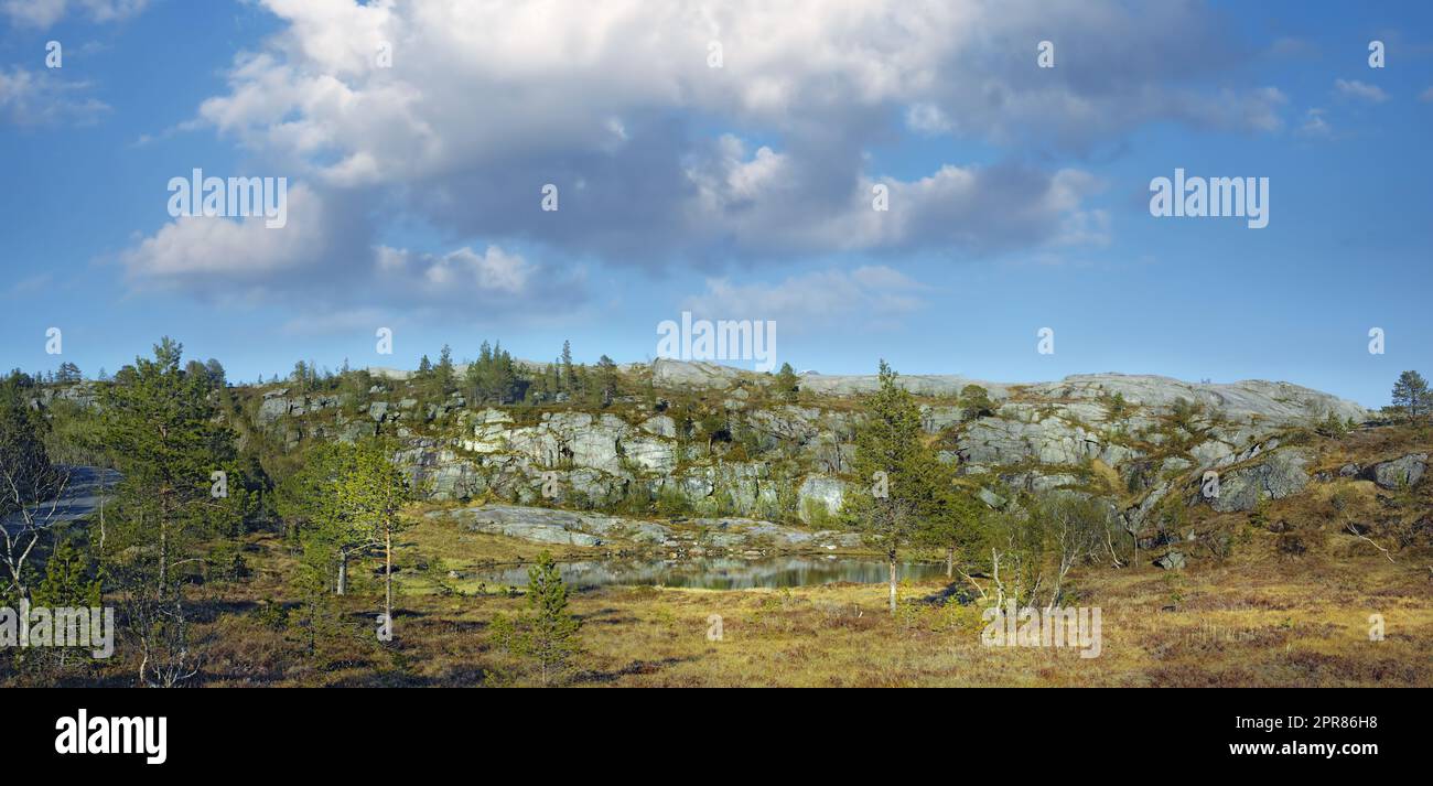 Waldbaumlandschaft mit einem Teich in den Bergen an einem wolkigen blauen Himmel mit Kopierraum. Sommerliche Naturlandschaft mit üppiger grüner Vegetation, Gras und nicht kultivierten Büschen auf einem Berg in Norwegen Stockfoto
