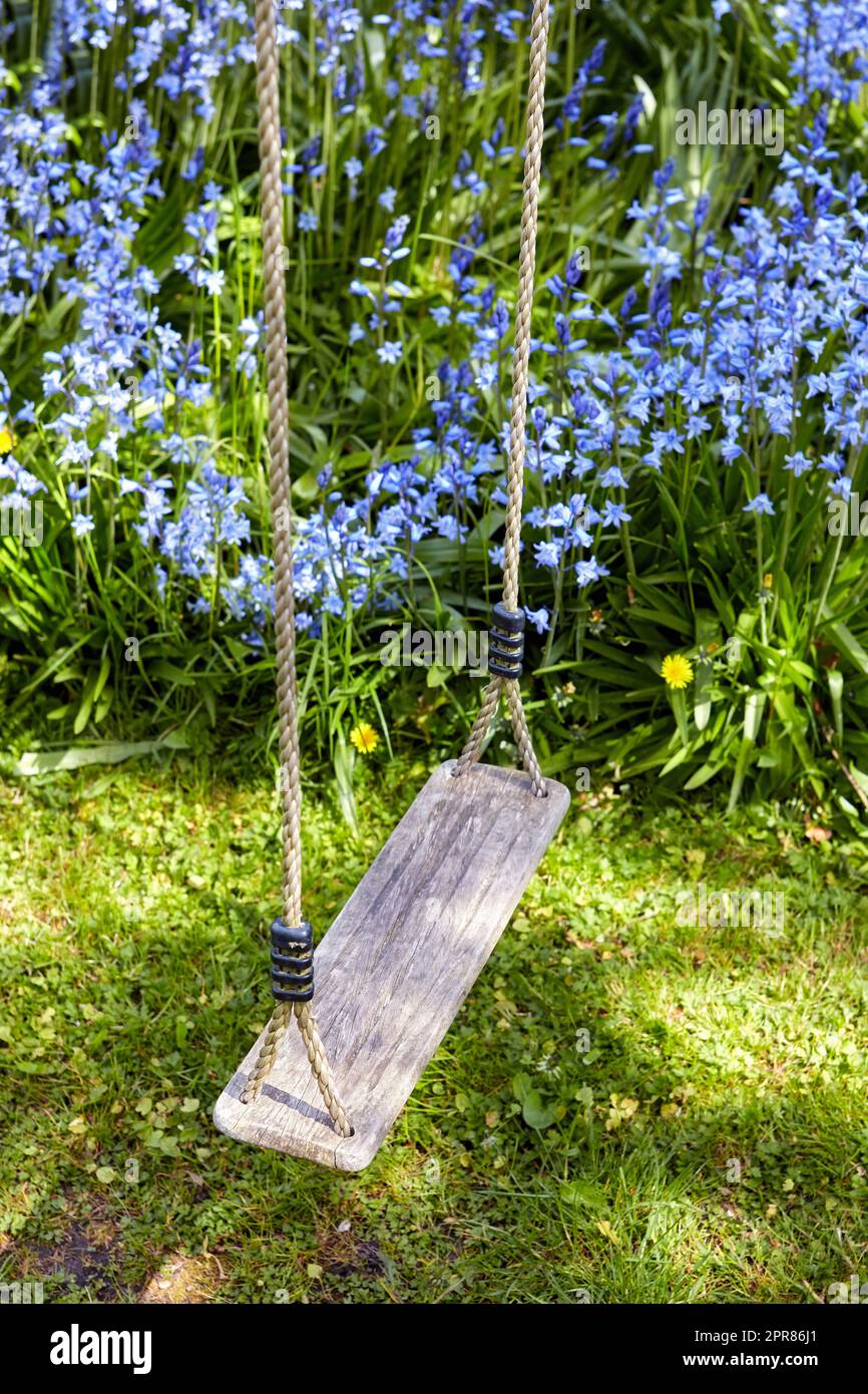 Eine Holzschaukel, die an einem sonnigen Tag in einem Garten mit üppigen Bluebell-Blumen hängt. Friedlicher Hinterhof der Harmonie in der Natur, der perfekte Ort zum Sitzen und Entspannen mit Blick auf frische blaue Wildblumen Stockfoto