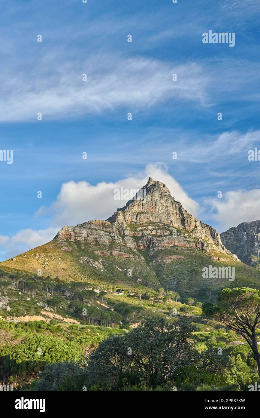 Üppig grüne Pflanzen rund um den Tafelberg in Kapstadt, Südafrika, mit viel Platz. Bäume und Büsche wachsen in schöner, friedlicher Harmonie. Ruhige, frische und beruhigende Natur mit ruhigem Ambiente Stockfoto