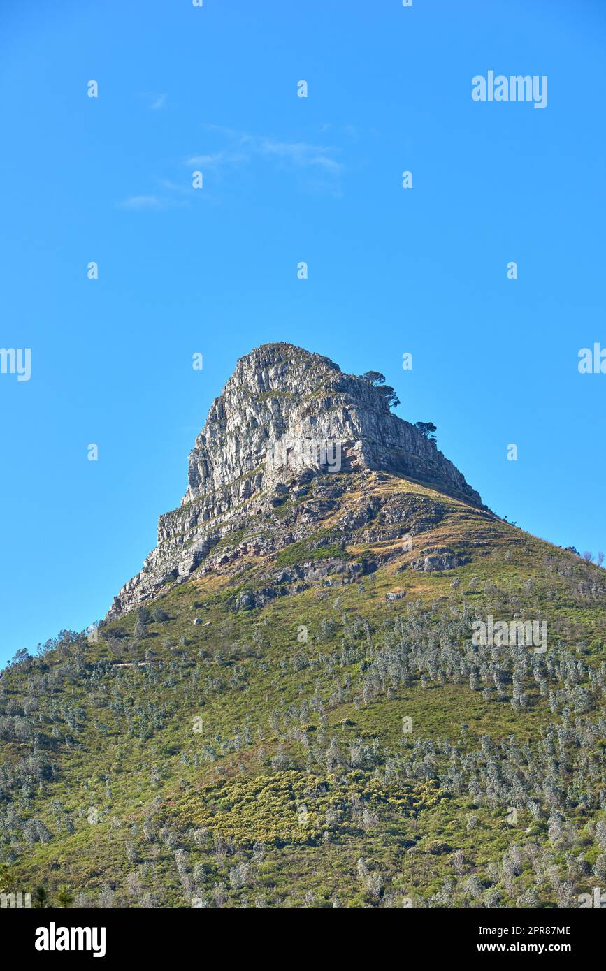 Lions Head Mountain an einem klaren Tag vor dem blauen Himmel Kopierraum. Ruhige Schönheit in der Natur an einem friedlichen Vormittag in Kapstadt mit Blick auf einen Gipfel und seine pulsierende grüne Pflanze Stockfoto