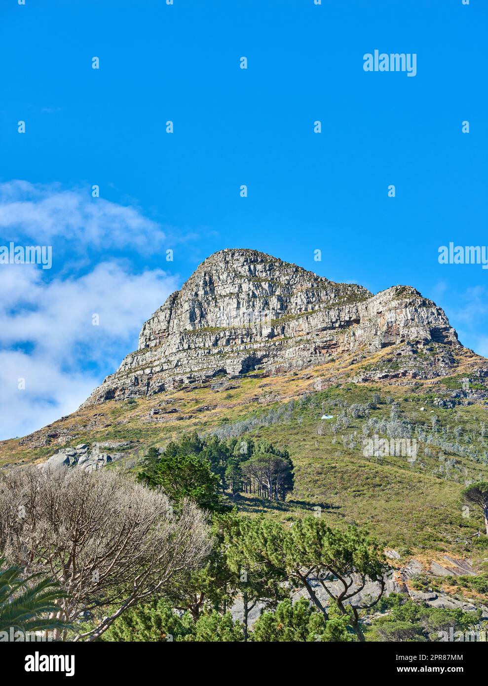 Malerische Landschaft mit blauem Himmel über dem Gipfel des Tafelbergs in Kapstadt an einem sonnigen Tag von unten. Wunderschöne Aussicht auf Pflanzen und Bäume rund um eine beliebte Touristenattraktion und ein Naturdenkmal Stockfoto
