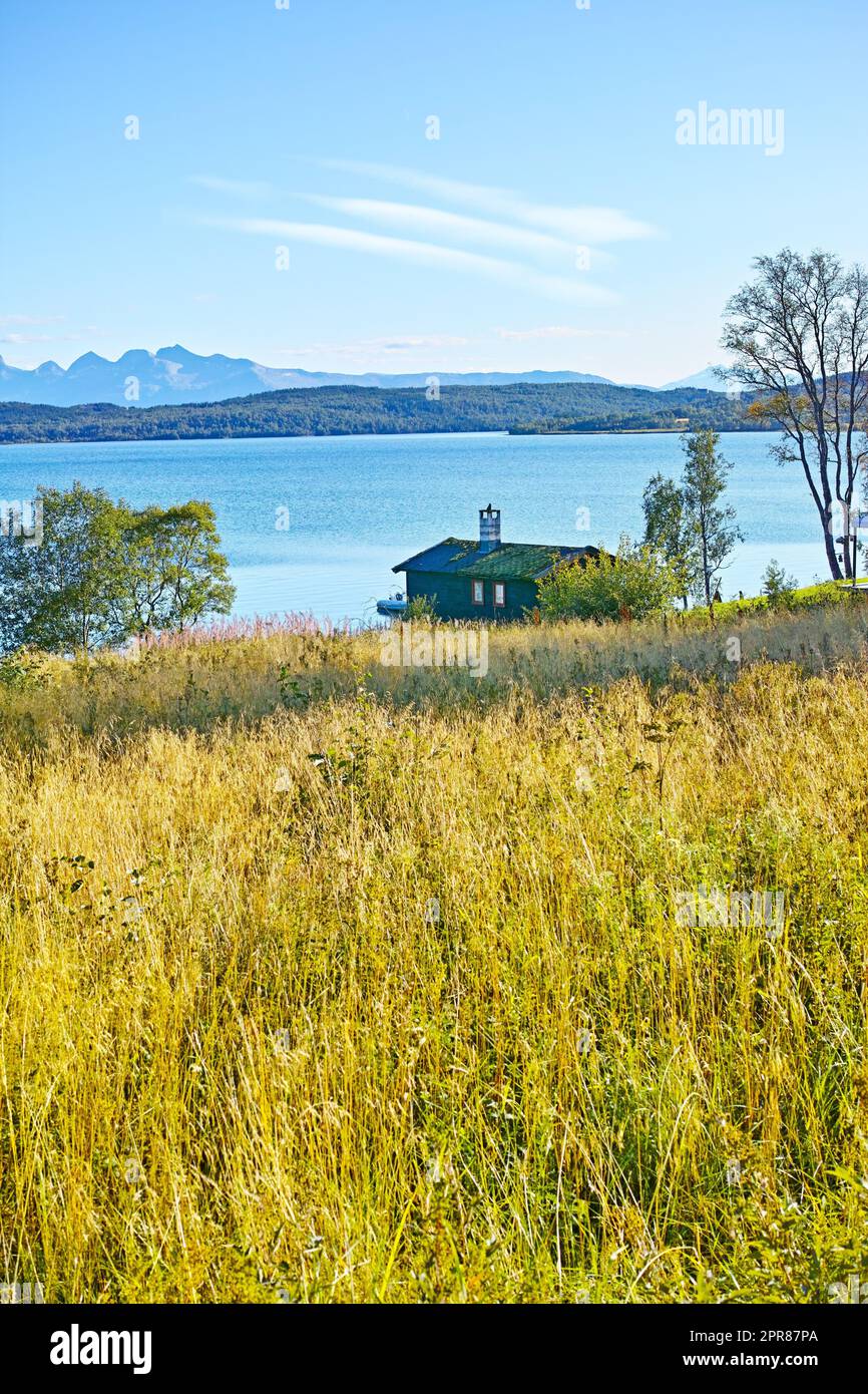 Malerischer Blick auf nicht kultiviertes Gras und Seehaus in einer abgelegenen Landschaft. Wilde Flora und Bäume um eine kleine Holzkabine und eine Bucht mit Wasser in Norwegen. Landschaft eines Flusses, Ozeans oder Meeres mit blauem Himmel Stockfoto