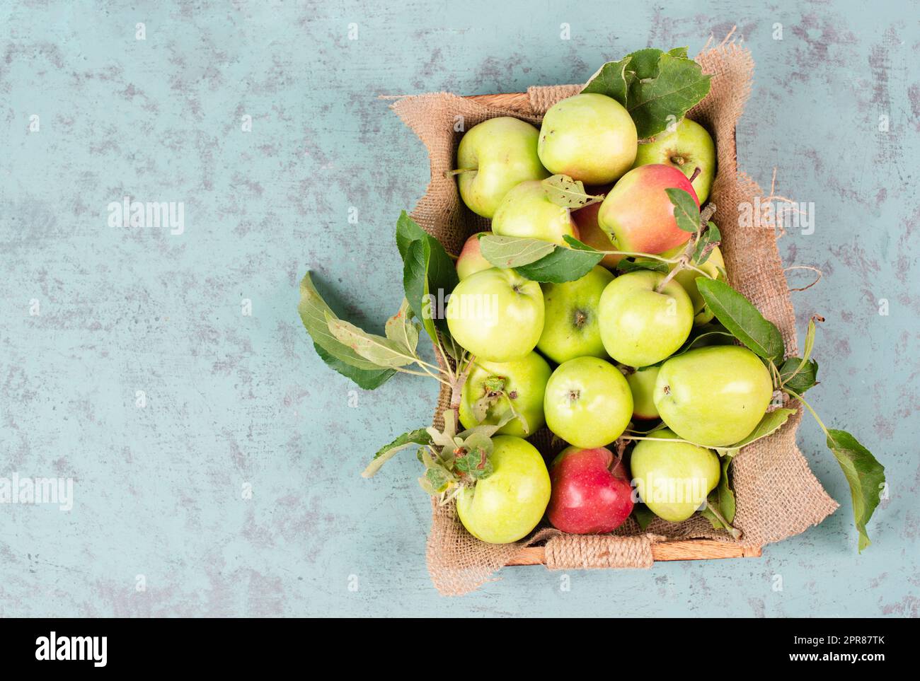 Korb mit frischen reifen Äpfeln auf dem Tisch, Obsternte im Sommer, gesunde Bio-Lebensmittel Stockfoto