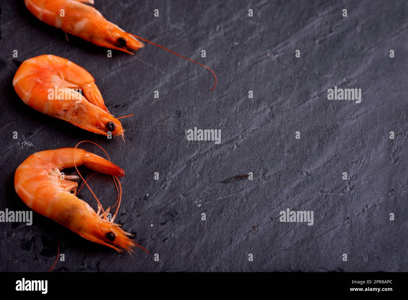 Frische Garnelen auf schwarzen Stein Schiefer mit Copyspace. Meeresfrüchte Vorbereitung. Stockfoto