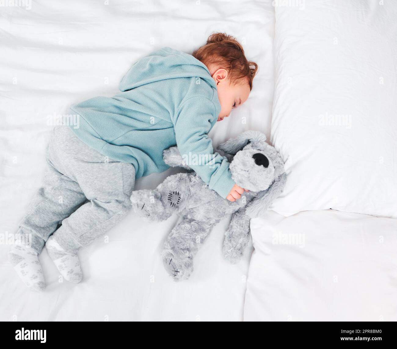 Ein Nickerchen mit meinem Kuschelfreund. Ein entzückender Baby, der auf einem Bett schläft. Stockfoto