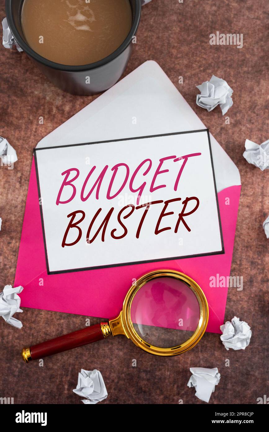 Handschriftlicher Text Budget Buster. Unternehmensübersicht Carefree Spending Bargets unnötige Käufe übermäßige Ausgaben Frau mit Glühbirne Präsentation der digitalen Suche mit neuen Ideen. Stockfoto