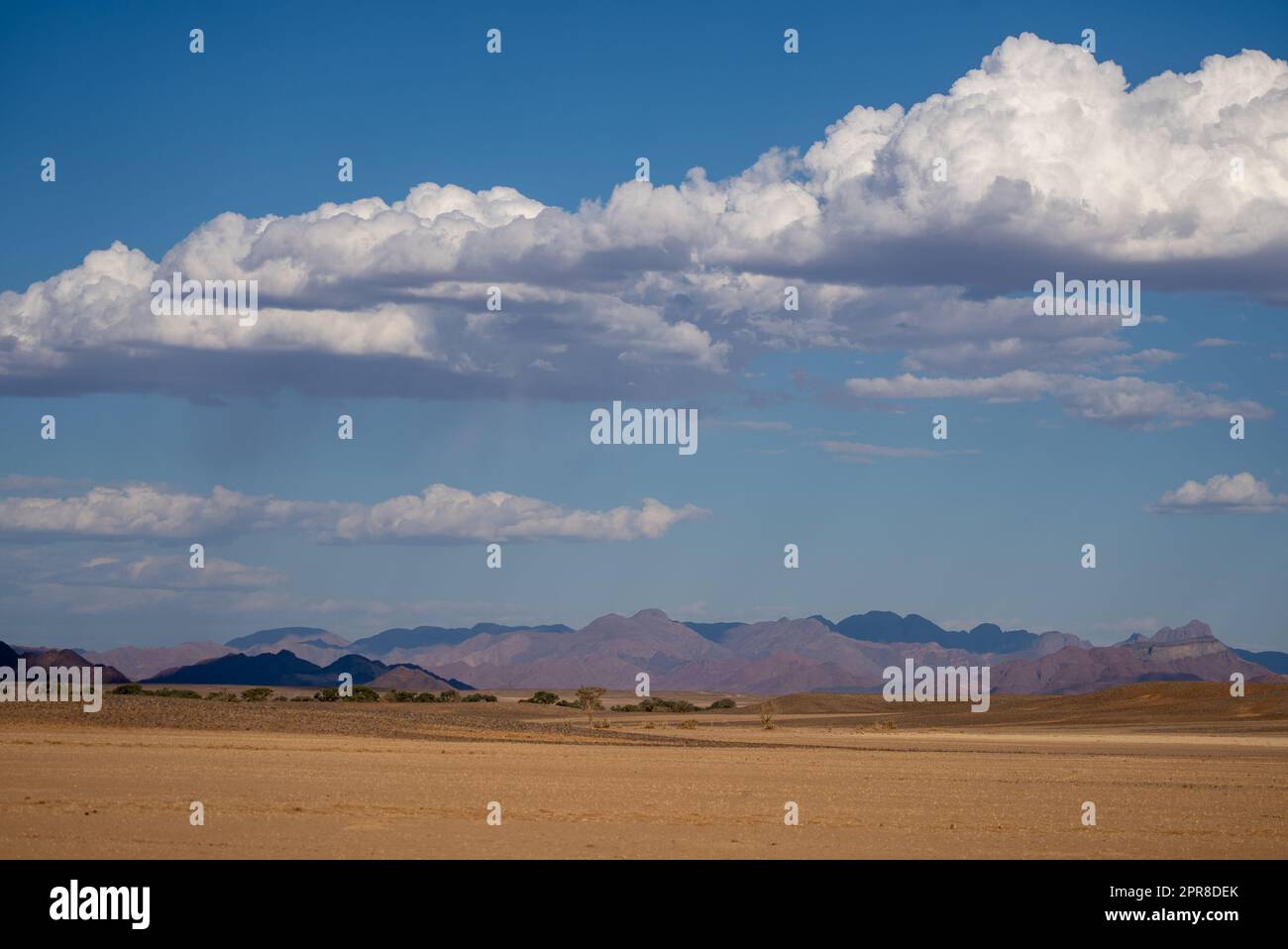 Sossusvlei Namibia Stockfoto