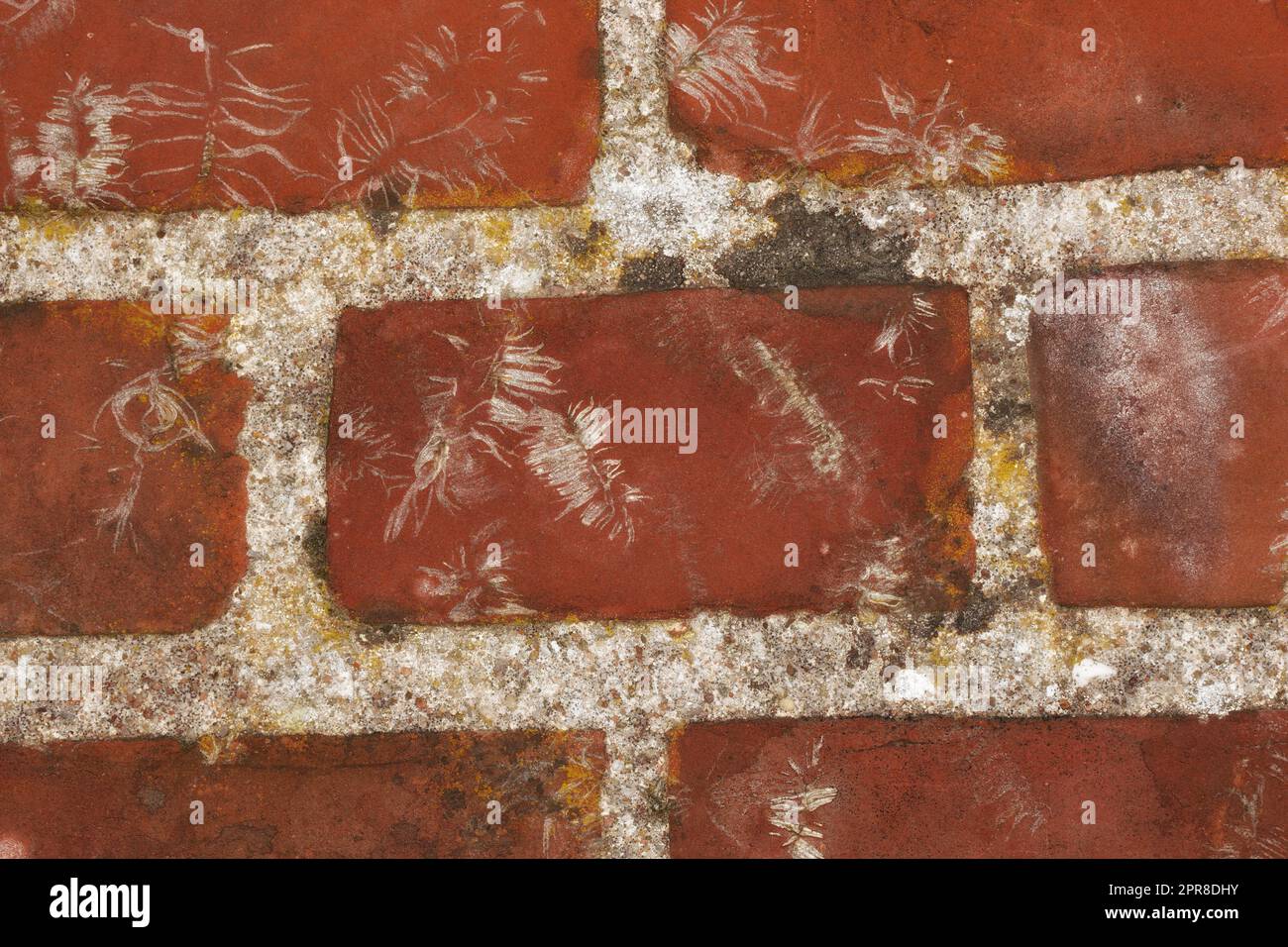 Nahaufnahme einer roten Backsteinwand auf der rustikalen Außenfläche eines Hauses, Hauses oder Stadtgebäudes. Textur, Details der groben Architektur Baugestaltung von Ziegelsteinen auf einer alten verfallenen Struktur Stockfoto