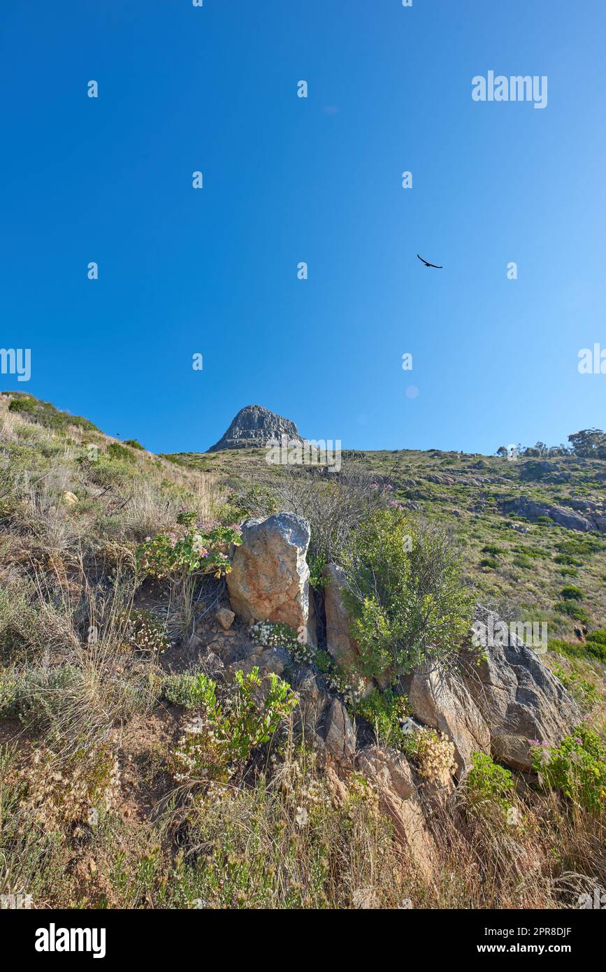 Landschaft eines Berges in Kapstadt, Südafrika, vor einem blauen Horizont. Felsige Bergregion mit Grün an einem sonnigen Tag. Lions Head ist ein beliebtes Reiseziel und eine Attraktion für Wanderungen Stockfoto