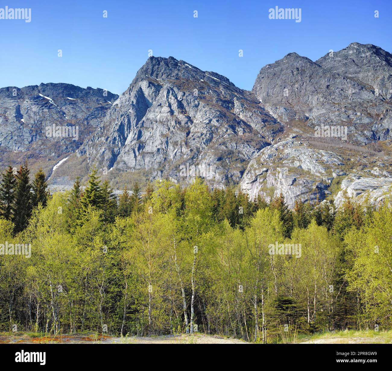 Malerische Berglandschaft mit Waldbäumen und blauem Himmel in Norwegen. Wunderschöne malerische Aussicht auf die Natur mit lebhaften üppigen Bäumen um ein berühmtes Naturdenkmal an einem sonnigen Tag Stockfoto