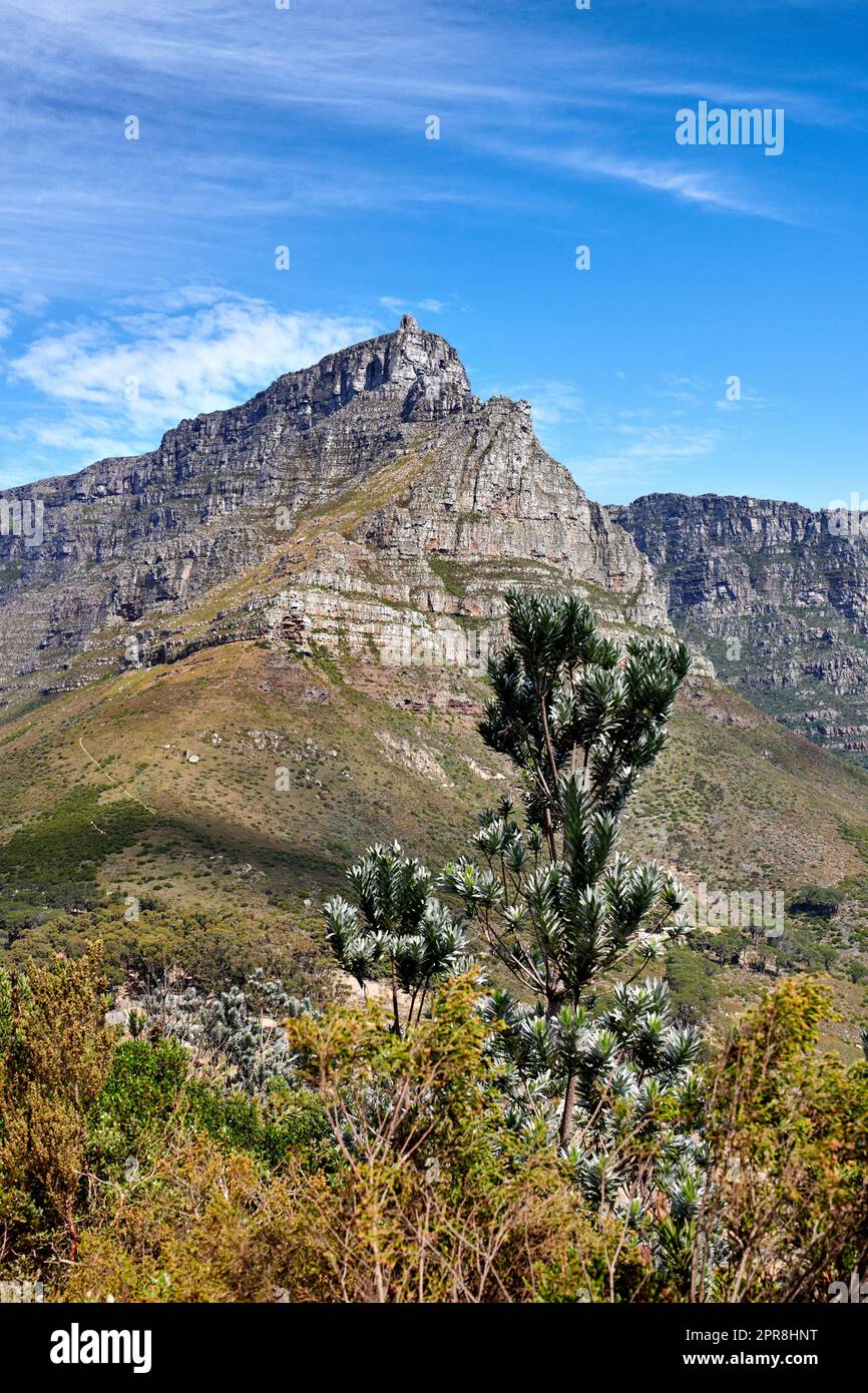 Berghintergrund, friedliches felsiges Land vor blauem Himmel mit Copyspace. Lebhaftes Land mit üppig grünen Büschen und Pflanzen, die in Harmonie in der Natur wachsen. Entspannende, beruhigende Aussicht auf Südafrika Stockfoto