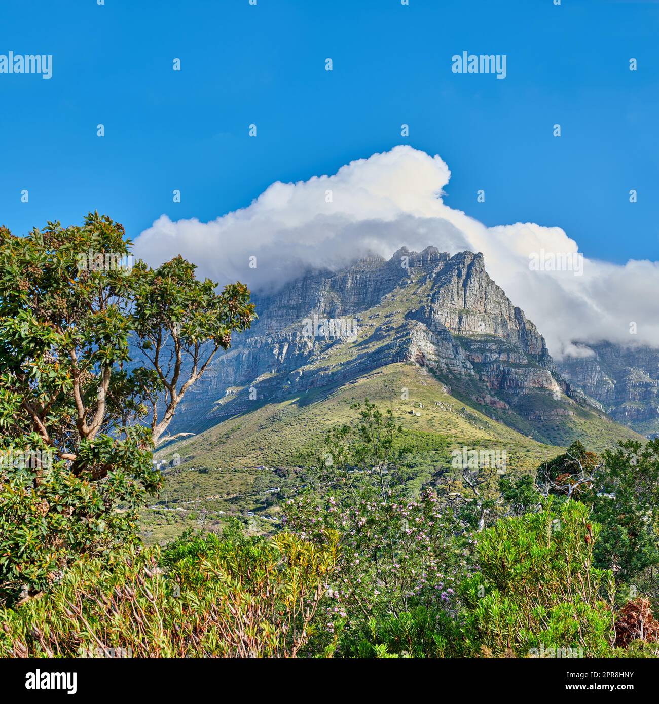 Friedliche Natur in Harmonie mit beruhigendem Blick auf Pflanzen und Landschaft. Dicke Wolken bedecken den Tafelberg in Kapstadt an einem sonnigen Tag. Wolkenformen und Schatten über felsigem Gelände Stockfoto