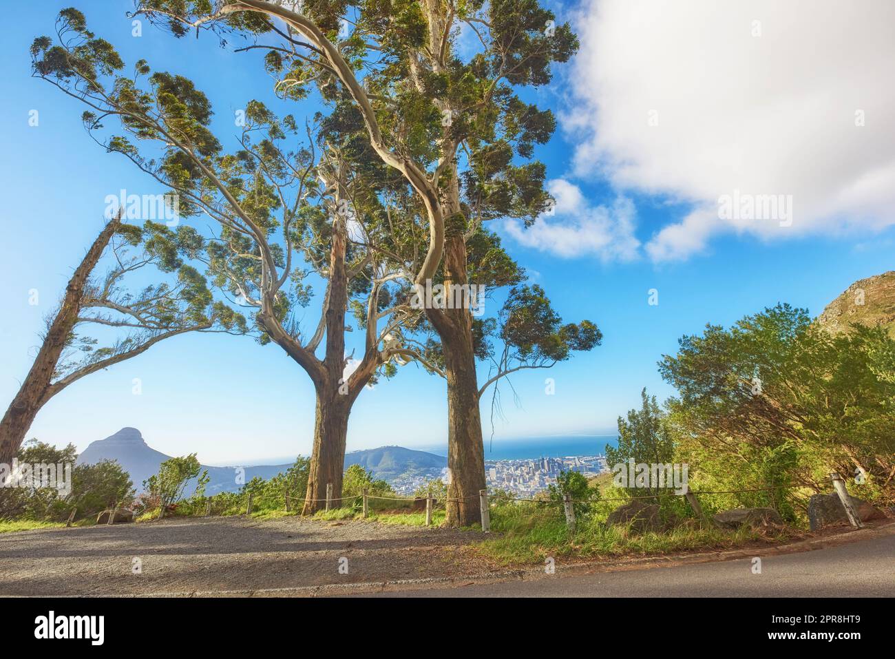 Bäume, Pflanzen und Vegetation entlang einer Straße auf einer Klippe in der Natur vor einem wolkigen blauen Himmel. Panoramablick, malerische Aussicht und Banner auf das Grün auf einer wunderschönen Straße mit Blick auf die Stadt im Sommer Stockfoto