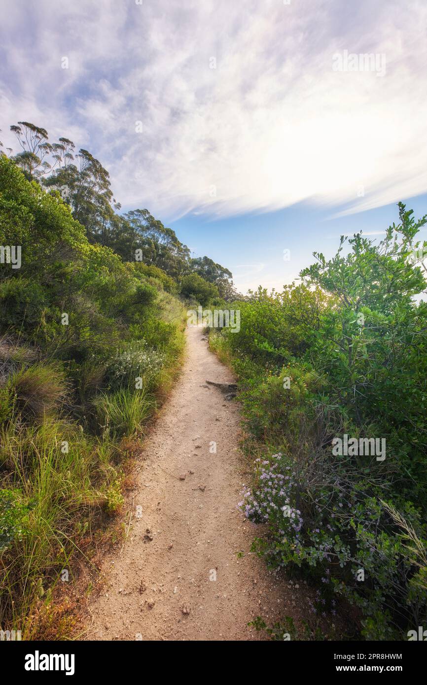 Wanderweg in der Natur entlang eines Waldes auf dem Tafelberg unter einem wolkigen Himmel. Bäume und üppige grüne Büsche wachsen in Harmonie. Friedliches, beruhigendes Ambiente mit beruhigender Aussicht und Kopierbereich Stockfoto