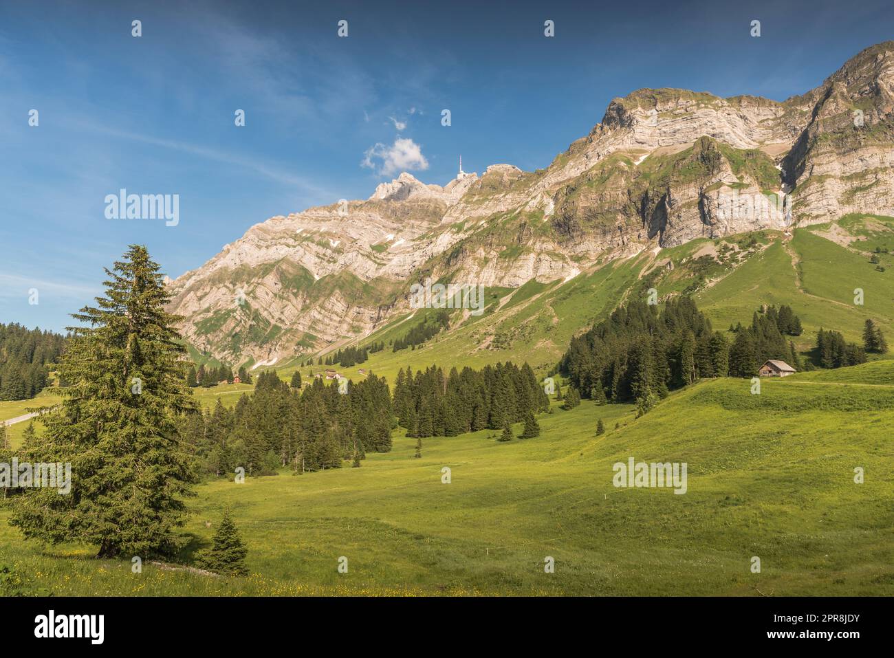 Idyllische Berglandschaft auf der Schwaegalp in den Schweizer Alpen mit grünen Wiesen und dem Gipfel von Saentis, Schweiz Stockfoto