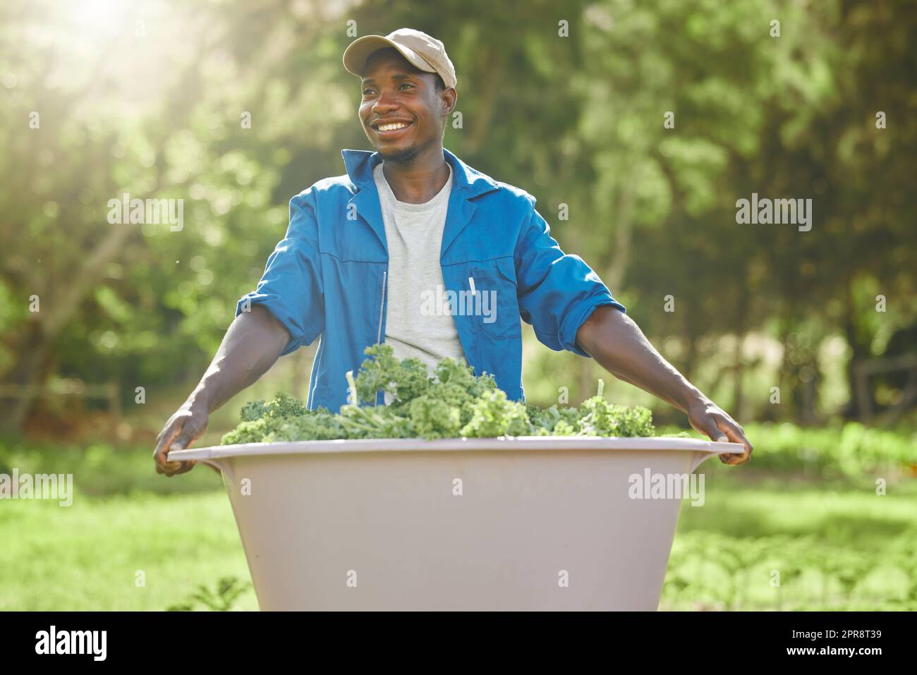 Die Ernte wieder auf den Tisch bringen. Ein hübscher junger Bauernhofarbeiter, der sich um die Ernte begibt. Stockfoto